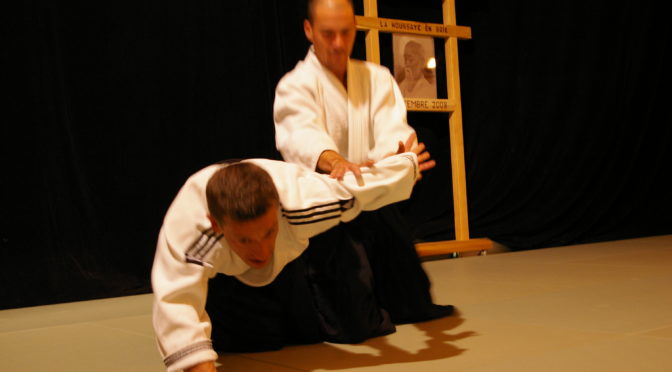 IMGP0781