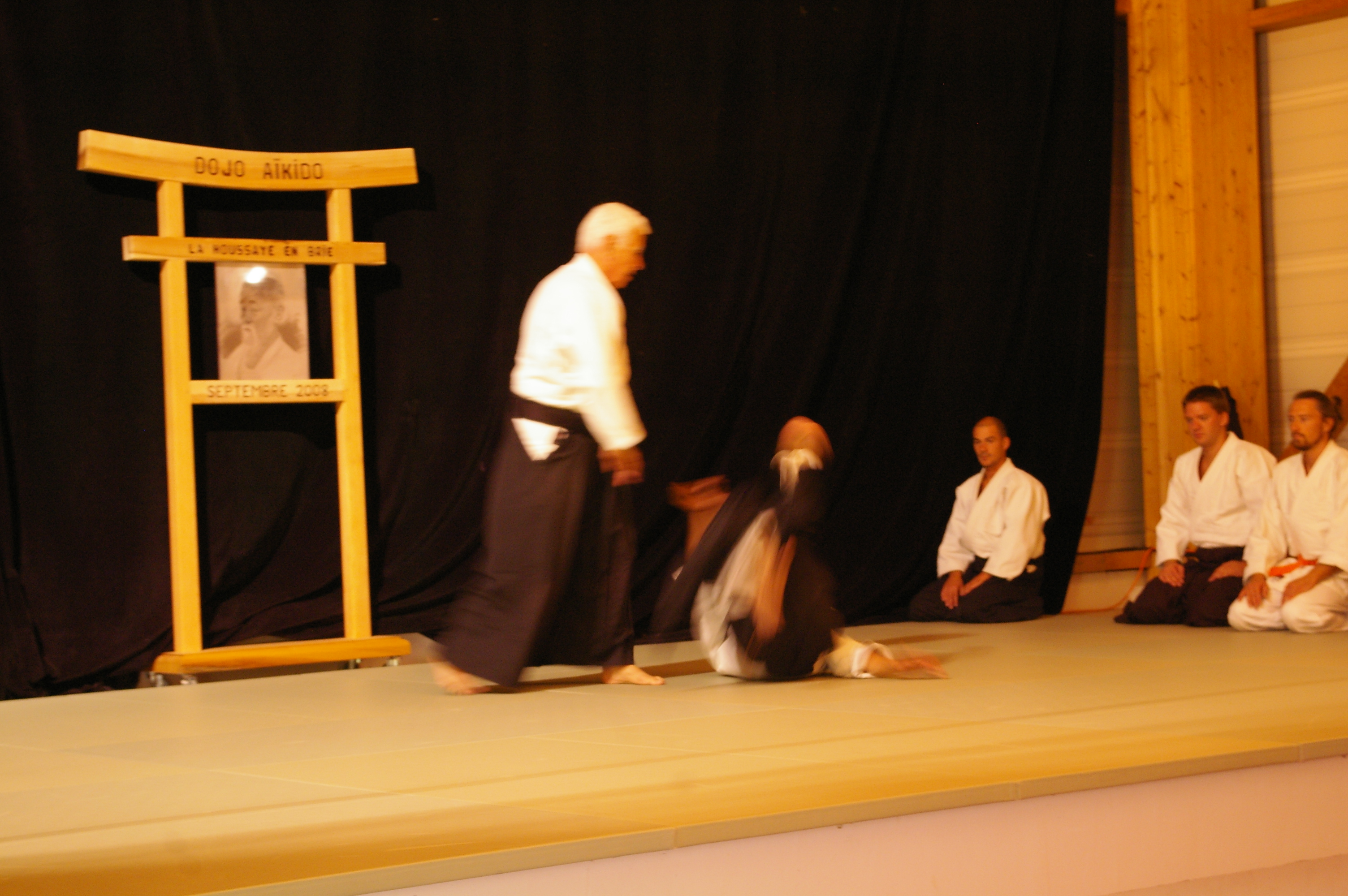 IMGP0803