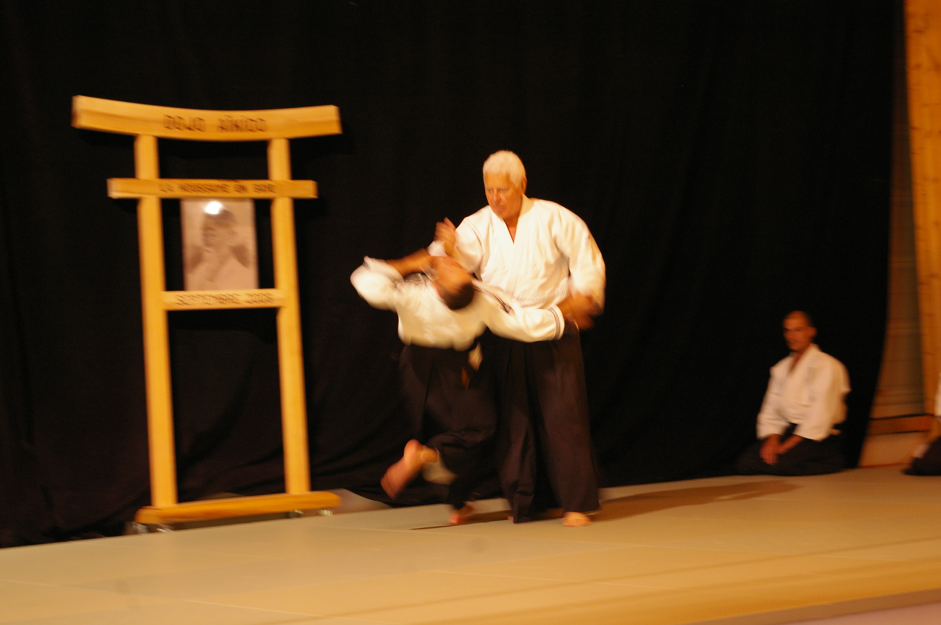 IMGP0804