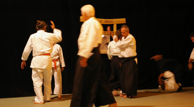 IMGP0808