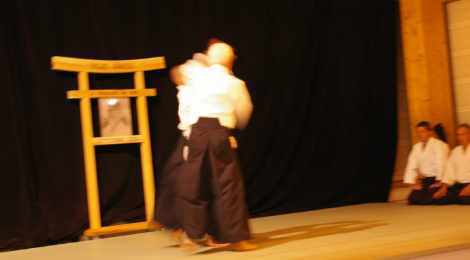IMGP0816
