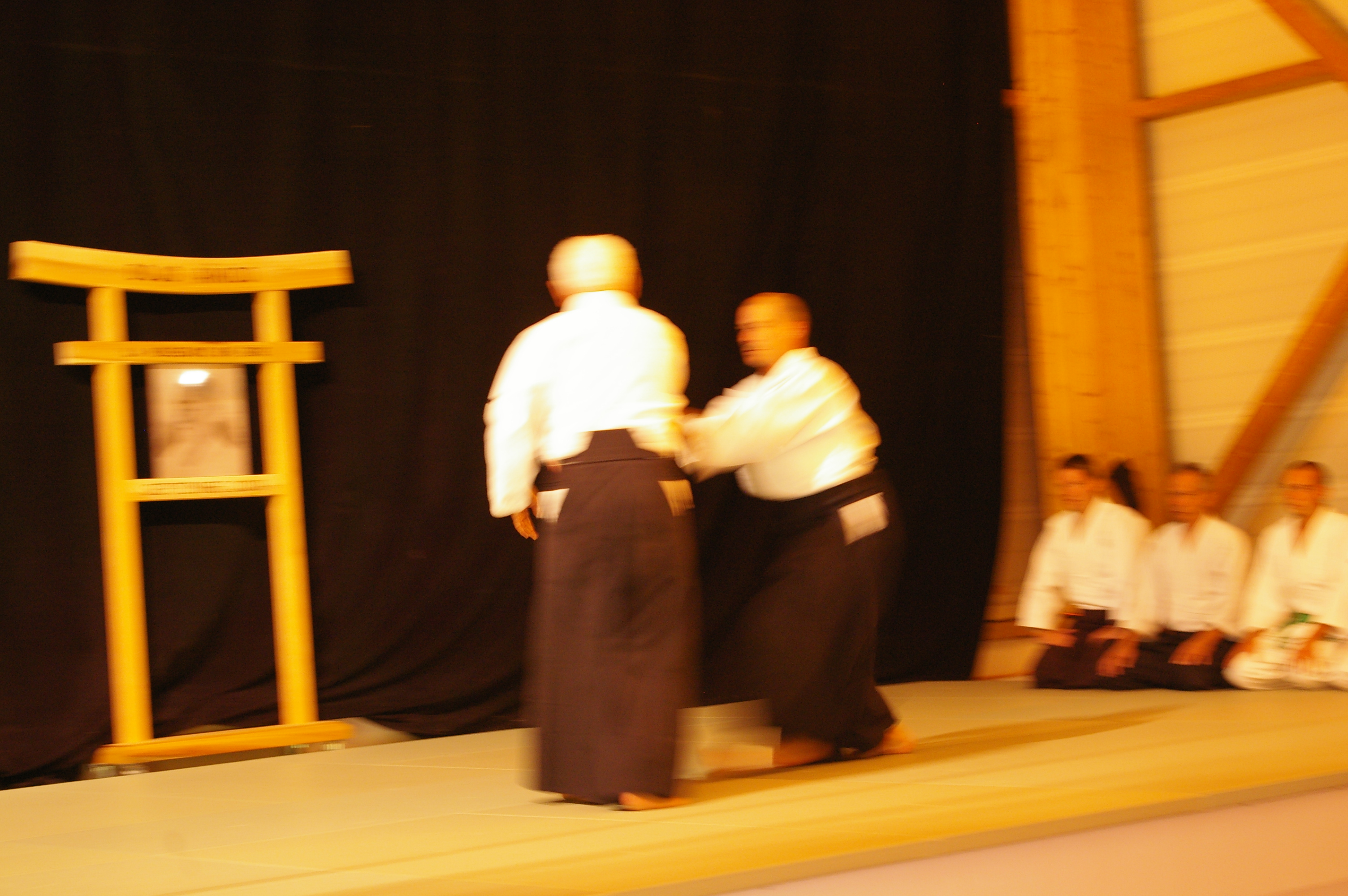 IMGP0822