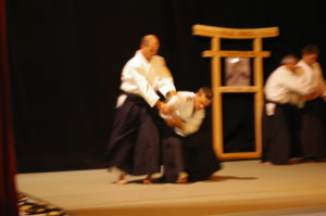 IMGP0826