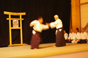 IMGP0853