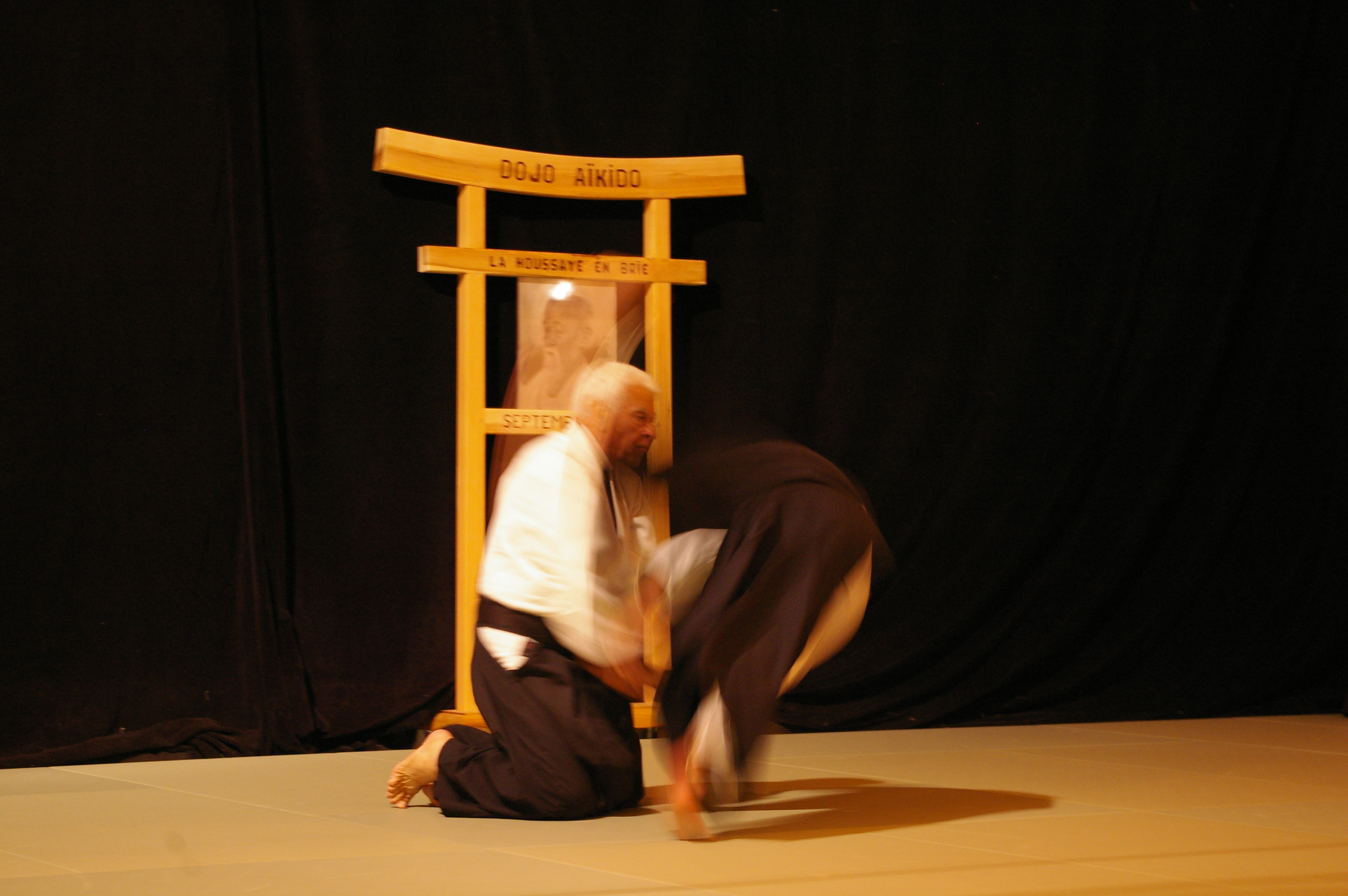 IMGP0868
