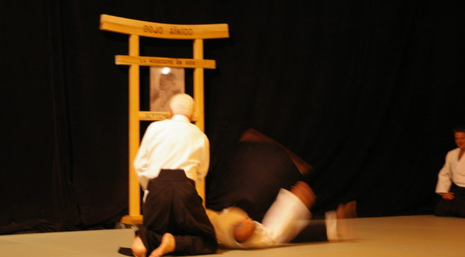IMGP0873
