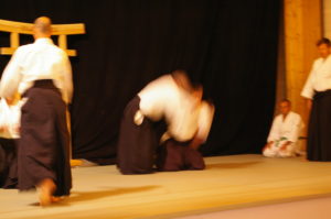 IMGP0879