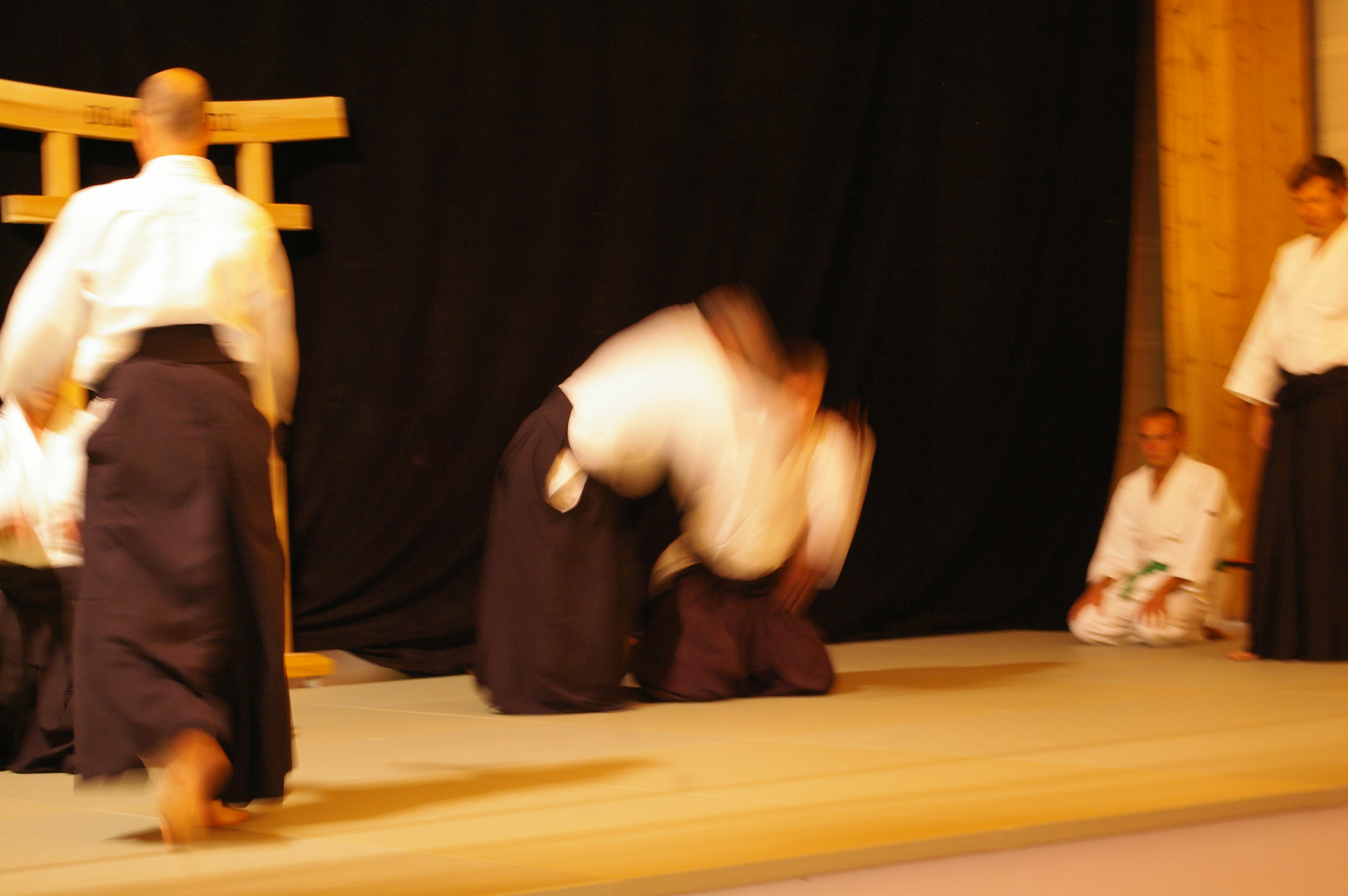 IMGP0879