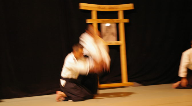 IMGP0880