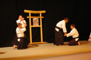 IMGP0882