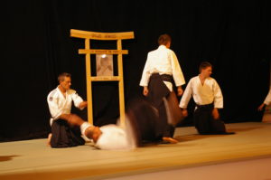 IMGP0884