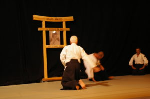 IMGP0889