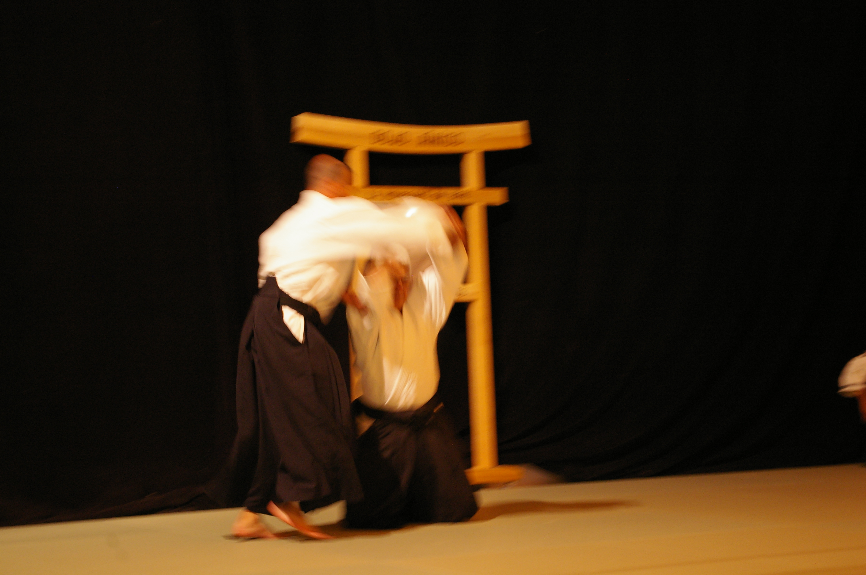 IMGP0893