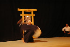 IMGP0894