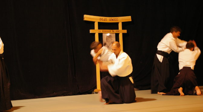 IMGP0904