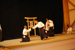 IMGP0906