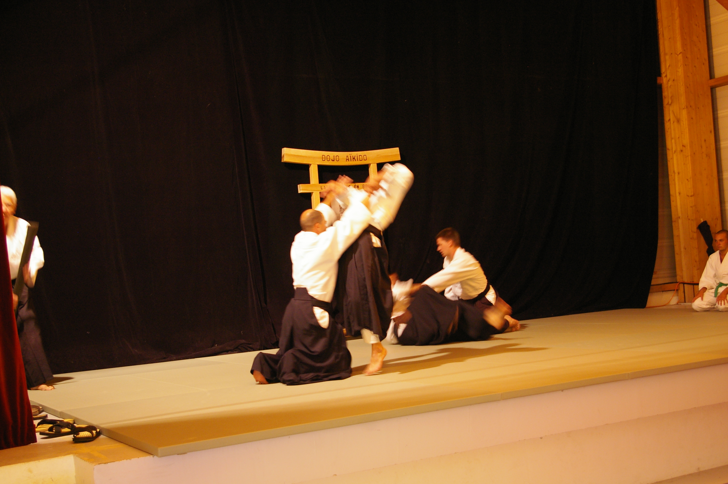 IMGP0911