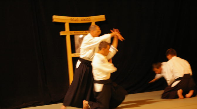 IMGP0913