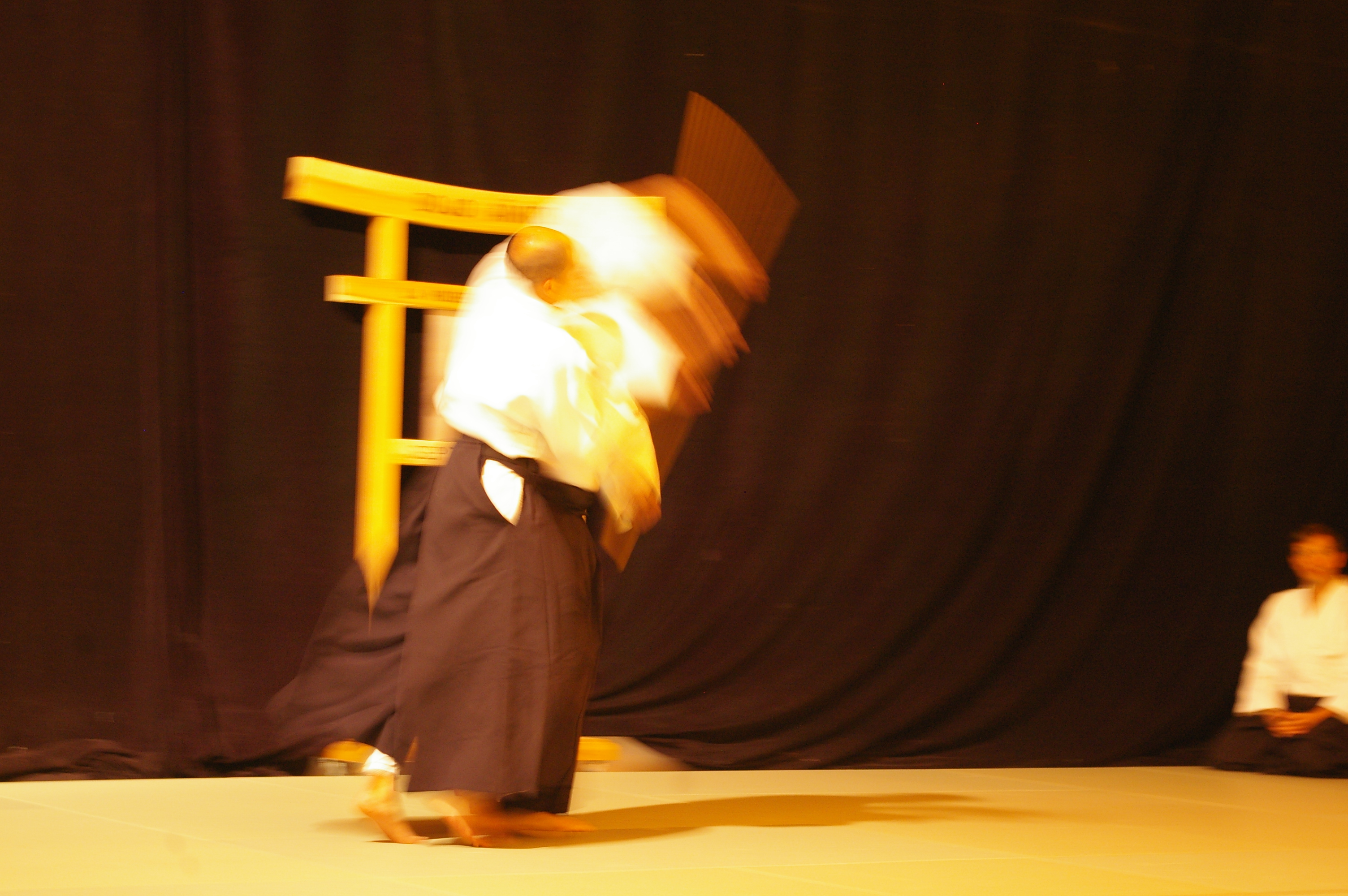 IMGP0918