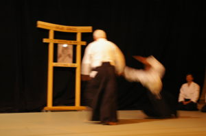 IMGP0926