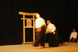 IMGP0928
