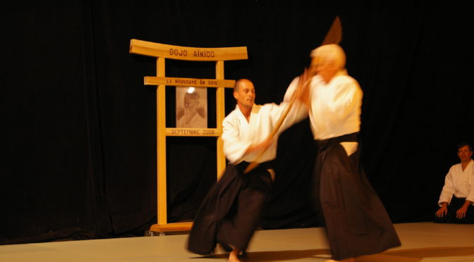 IMGP0929