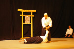 IMGP0931