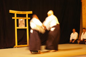IMGP0937