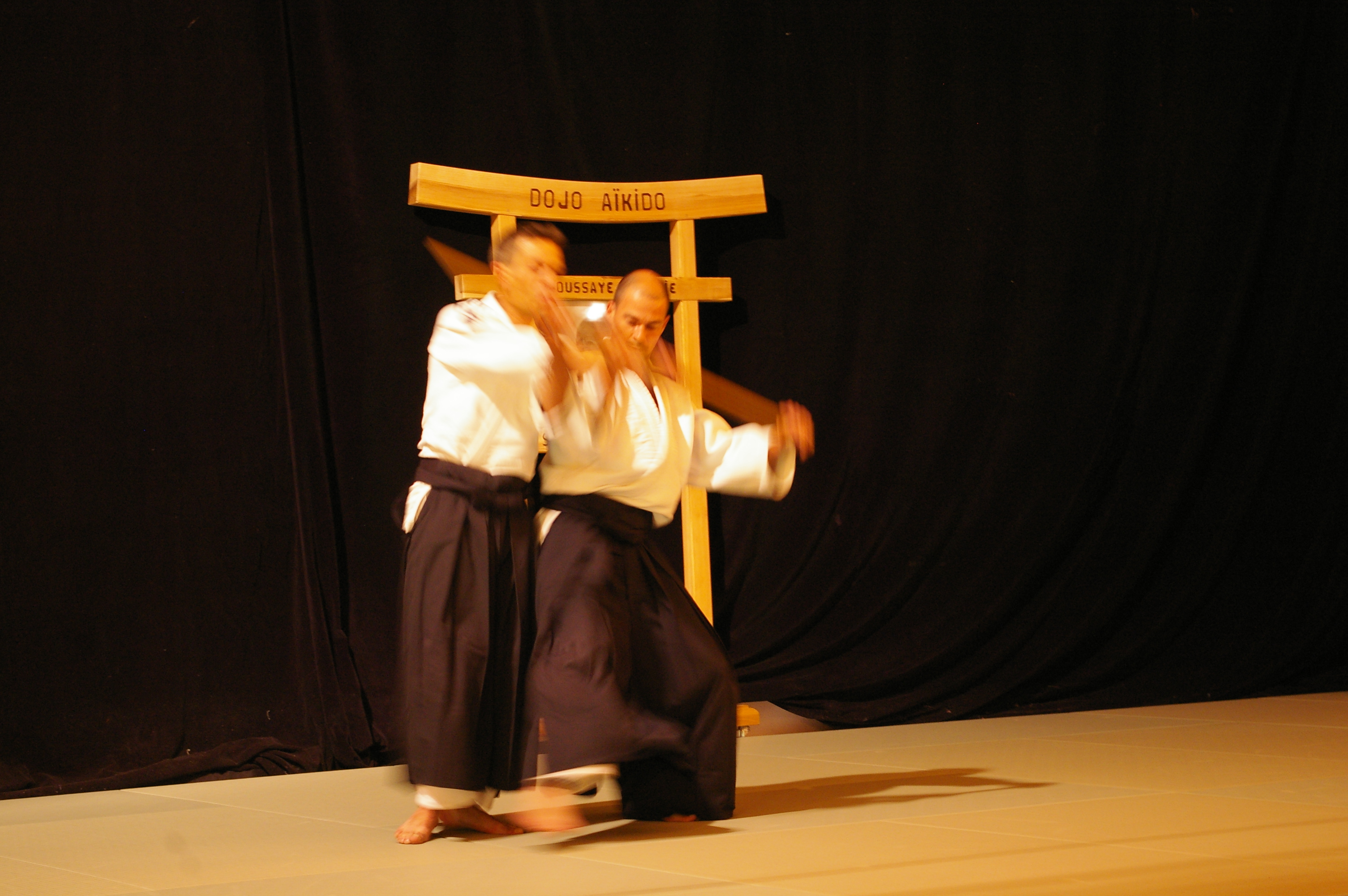 IMGP0941