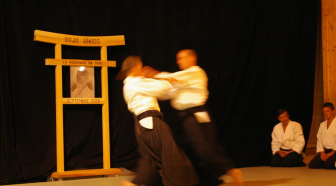IMGP0946