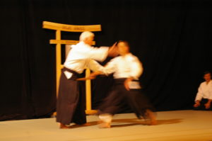 IMGP0949