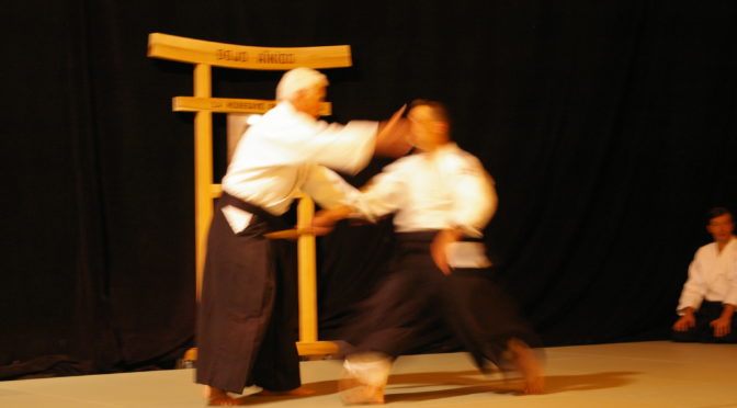 IMGP0949