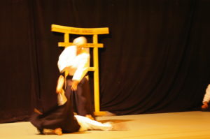 IMGP0950