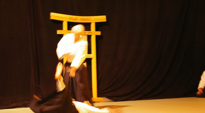 IMGP0950
