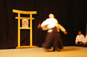 IMGP0955