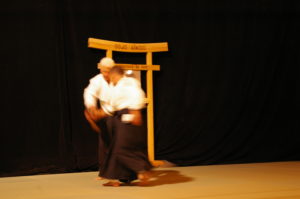 IMGP0964