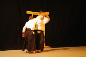 IMGP0965