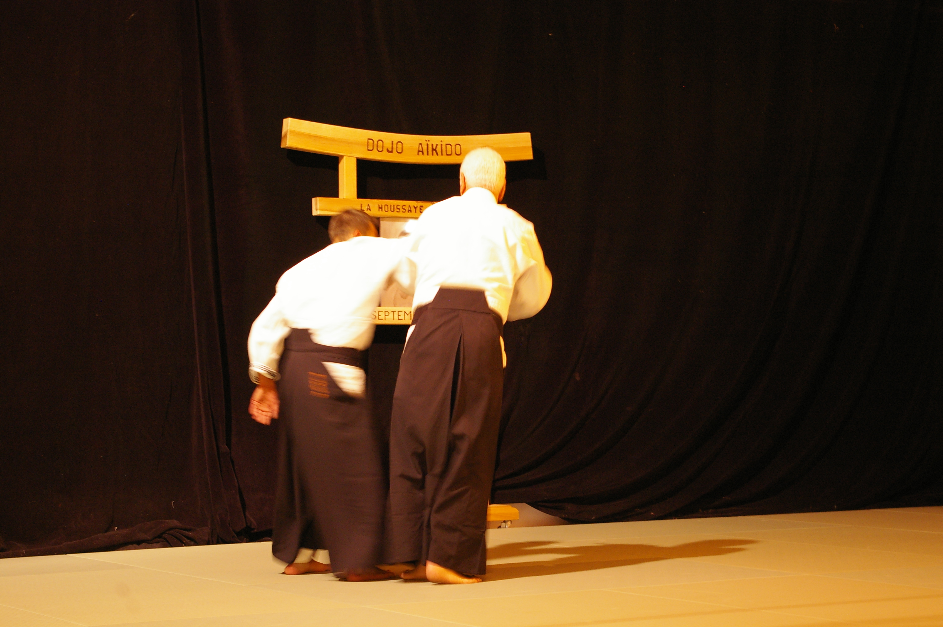 IMGP0966