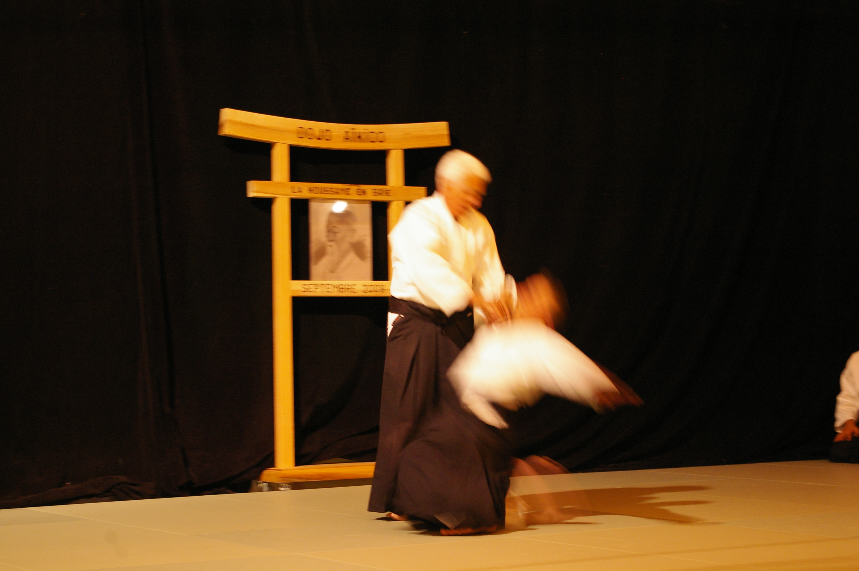IMGP0967
