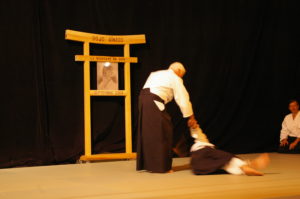 IMGP0969