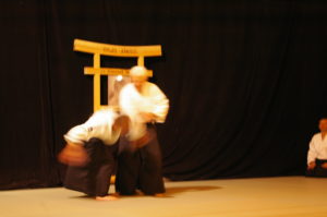 IMGP0975
