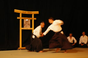 IMGP0979