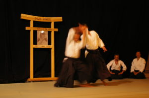 IMGP0980
