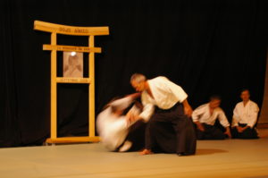 IMGP0981