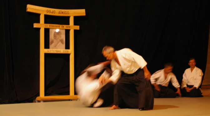 IMGP0981
