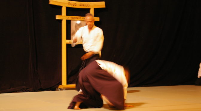 IMGP0984