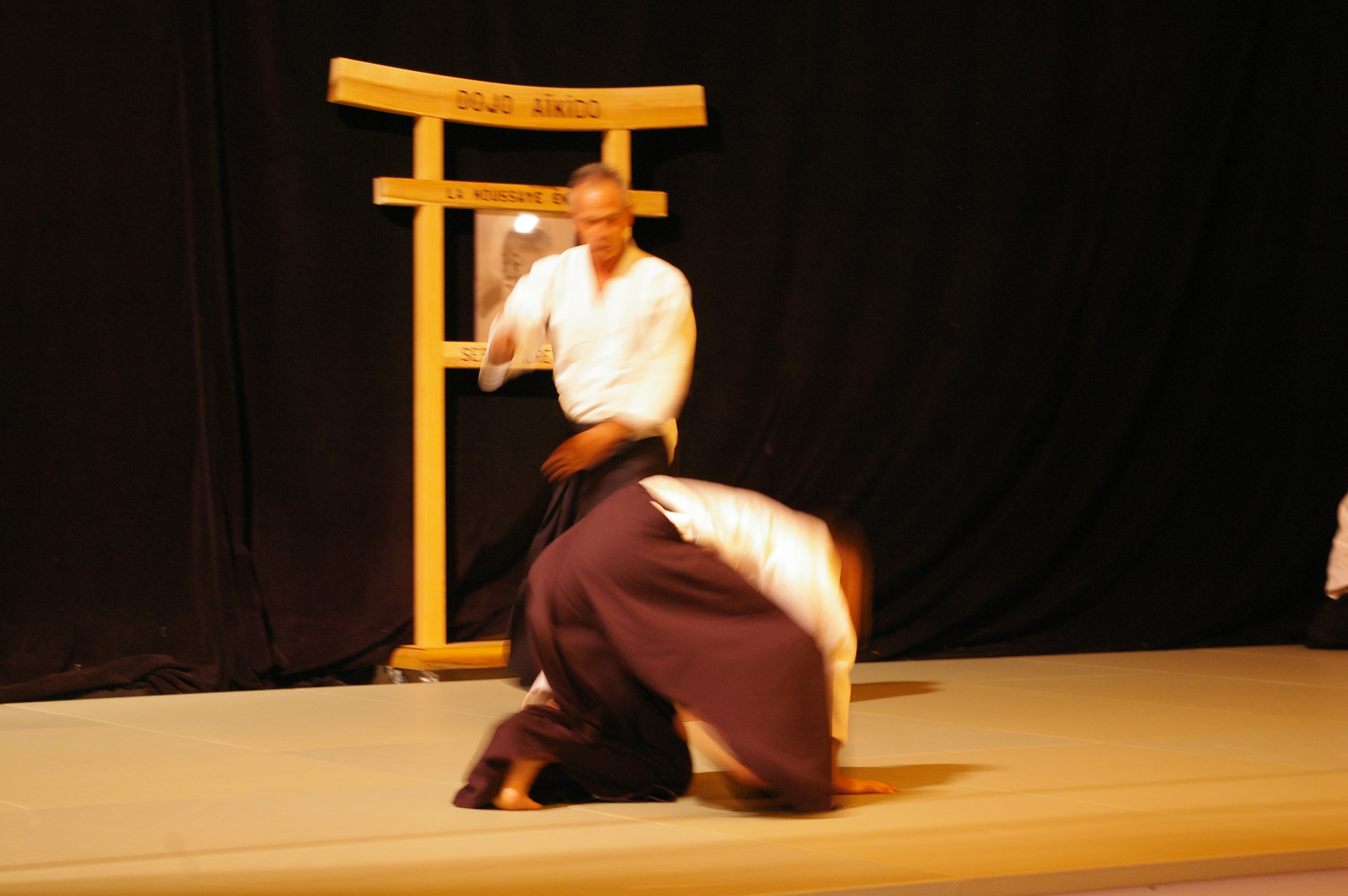 IMGP0984