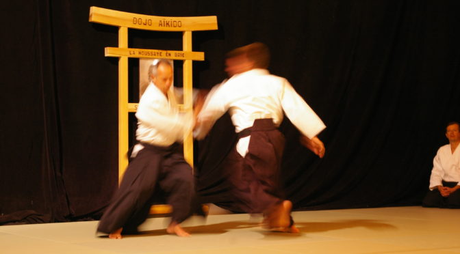 IMGP0986