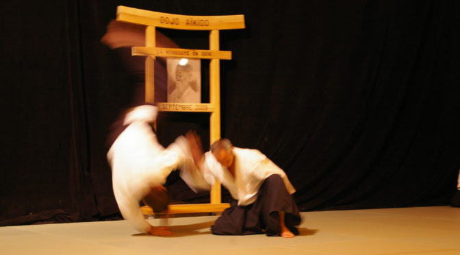 IMGP0988