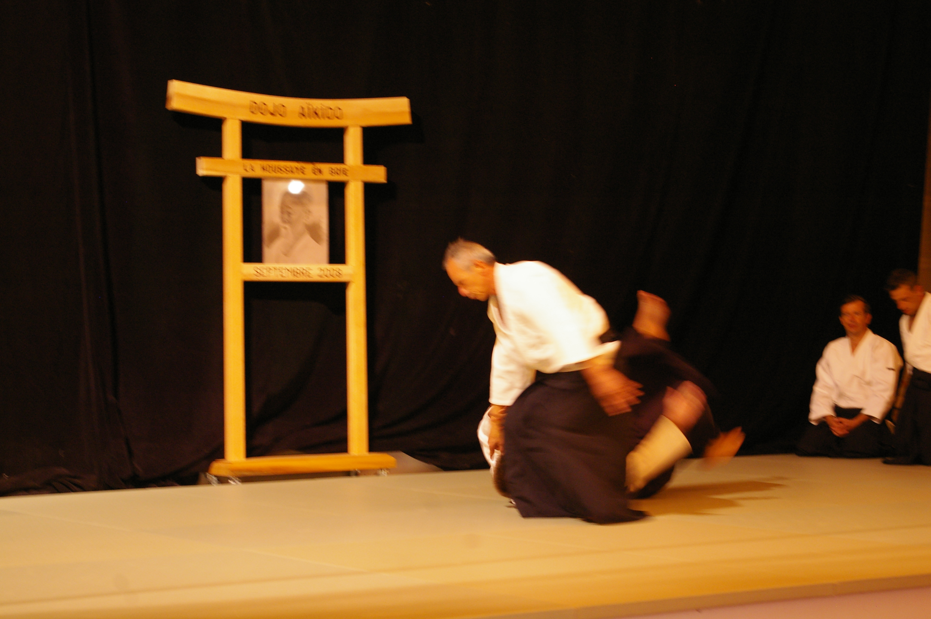 IMGP0989